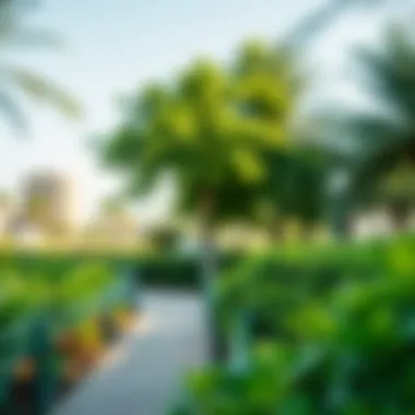 Green Spaces and Community Parks in ICS Khalifa City Vibrant community park in ICS Khalifa City filled with greenery