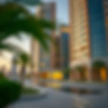 Investments in Dubai highlighting the economic contributions of the Mashriq elite