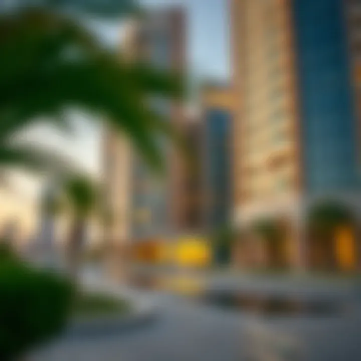 Investments in Dubai highlighting the economic contributions of the Mashriq elite