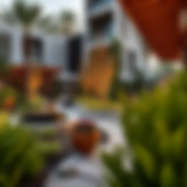 Modern outdoor spaces with unique landscaping features