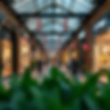 A lively outdoor shopping area filled with vibrant shops and delightful cafes