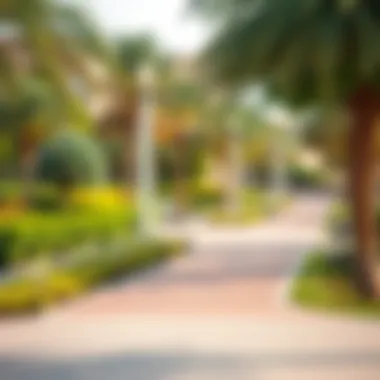 Vibrant community park in Millennium Al Barsha filled with greenery