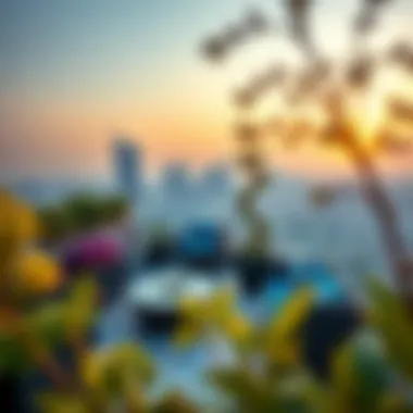 Modern rooftop garden at Nabeel Rooftop with panoramic city views