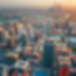Aerial view of Dubai's skyline showcasing diverse properties