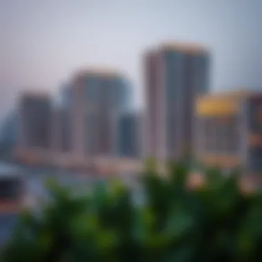 Navigating Sharjah Free Zones: A Comprehensive Guide Summary