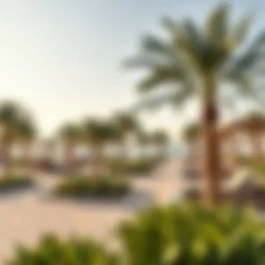 Recreational Areas on Noor Island Recreational areas designed for relaxation and leisure on Noor Island