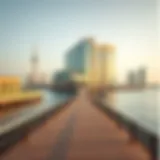 Scenic view of the Palm Boardwalk highlighting its design