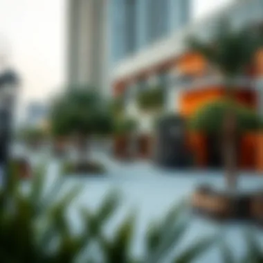 Vibrant community spaces in Parklane