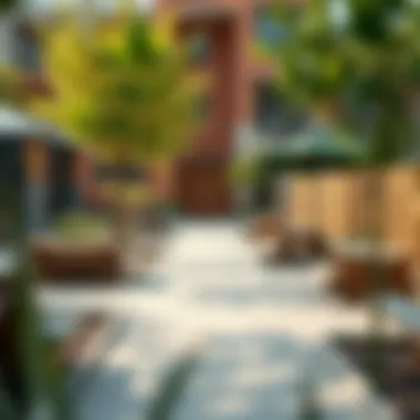 Engaging Outdoor Spaces for Exploration Outdoor learning environment