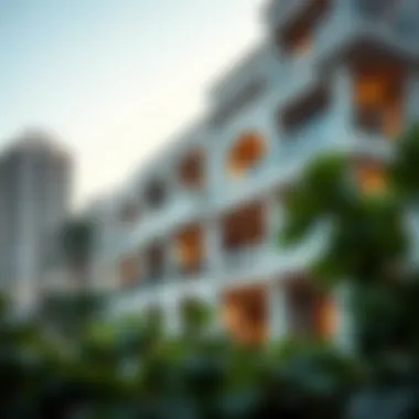 Expat renting in Dubai