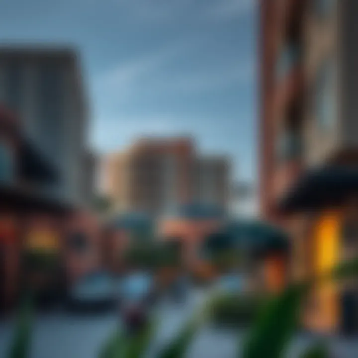 Local amenities in Al Nahda neighborhood