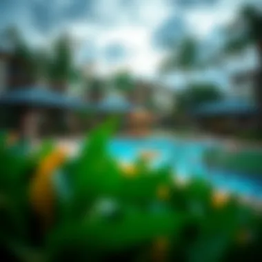 Recreational Amenities in Discovery Gardens Amenities in Discovery Gardens including parks and recreational areas for residents