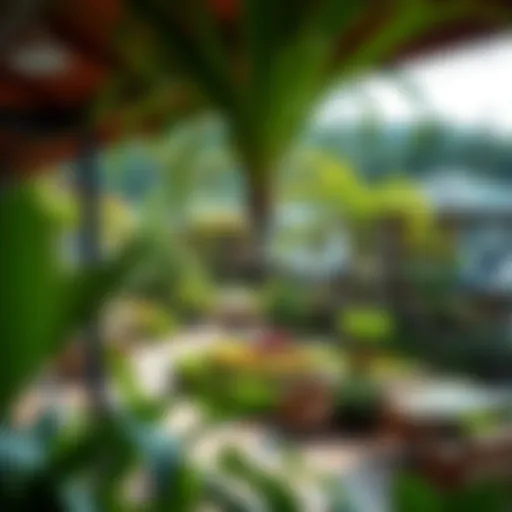 Scenic view of Discovery Gardens showcasing the lush greenery and vibrant community living