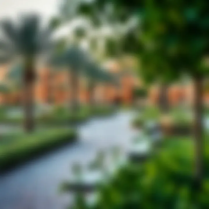 Vibrant community park in Shams Al Rahmaniya