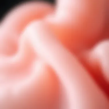 Intricate Texture of Silicone Molds A detailed close-up of a silicone mold demonstrating texture and flexibility