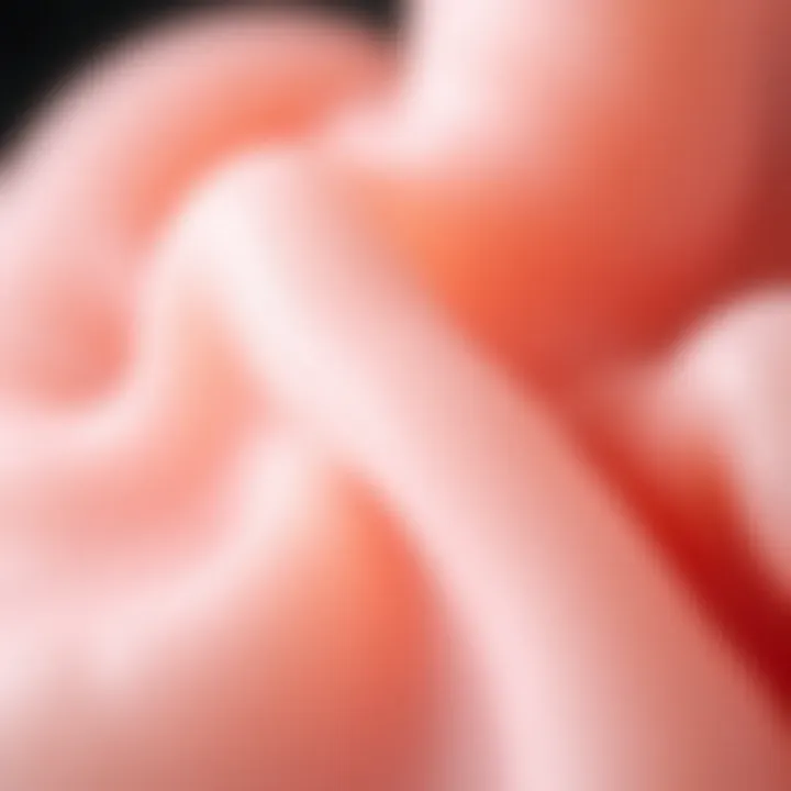 Intricate Texture of Silicone Molds A detailed close-up of a silicone mold demonstrating texture and flexibility