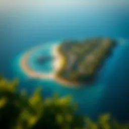 Aerial view of Siniyah Island showcasing its lush greenery and serene coastline