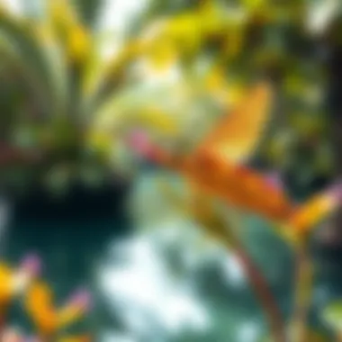 Biodiversity Spotlight: Flora and Fauna of Siniyah Island Flora and fauna unique to Siniyah Island, highlighting its biodiversity