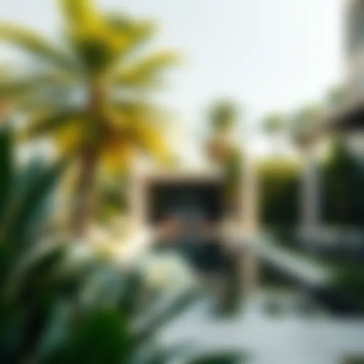 Lush Gardens Enhancing Luxury Living in Dubai Stunning view of a lush garden in a luxury Dubai property