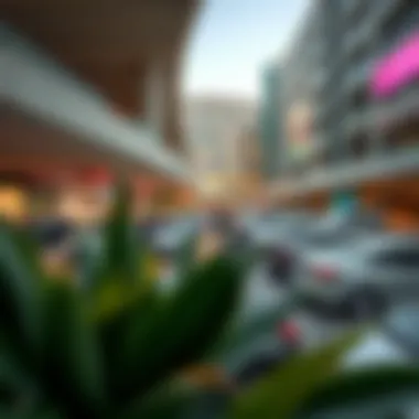 Notable The Parking Landscape of The Dubai Mall: Capacity and Insights Notable The Parking Landscape of The Dubai Mall: Capacity and Insights