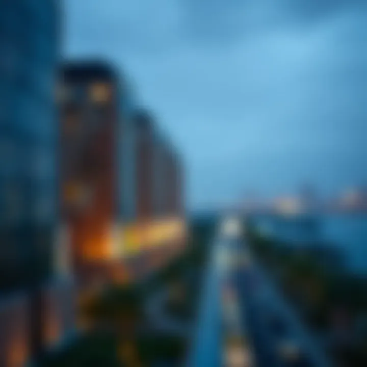 Advantages and Limitations of Free Zones Graphic representation of advantages and limitations of free zones