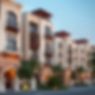 Architectural Highlights of Dubai Housing Detailed view of Dubai's housing architecture