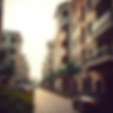 Community Development in Dubai Housing Community development in Dubai's housing sector