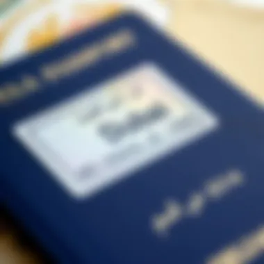 Visa Stamp in Passport Passport with Dubai visa stamp