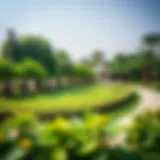 Lush greenery of Wasl Green Park showcasing its unique landscaping