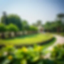Lush greenery of Wasl Green Park showcasing its unique landscaping